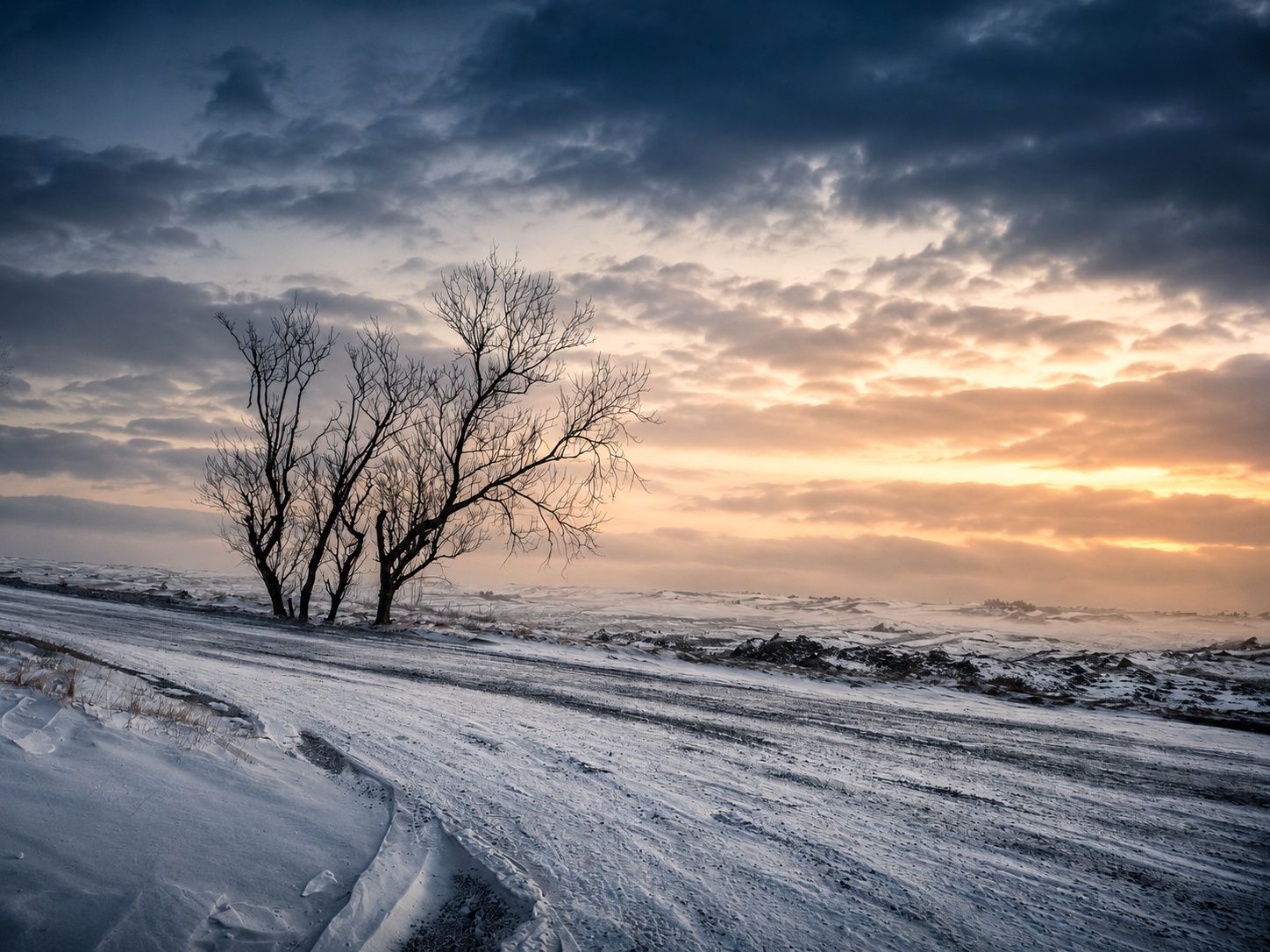 A snow blown road and bare trees at dusk in Iceland